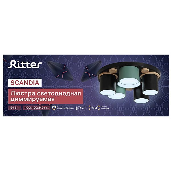 Потолочная люстра Ritter Scandia 52075 7